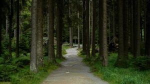 loc thumb c country side location moods germany shotz production service 10